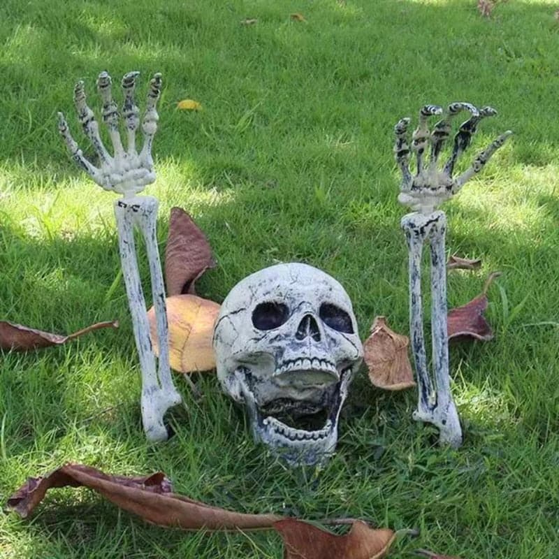Halloween Skeleton Decoration Set