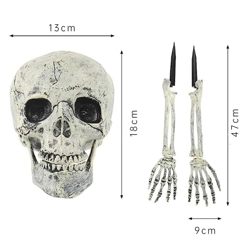 Scary Skull Head and Hands